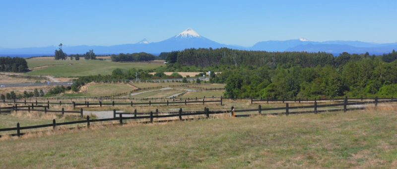 Parcela en venta en Llanquihue — Senderos del Bosque, Llanquihue